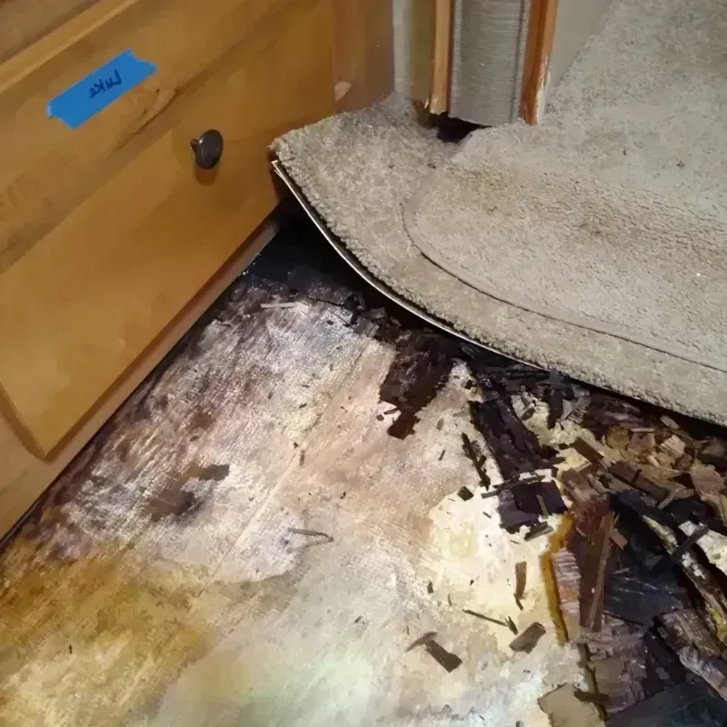 Best Wood Floor Water Damage Service in Crawford County, MI